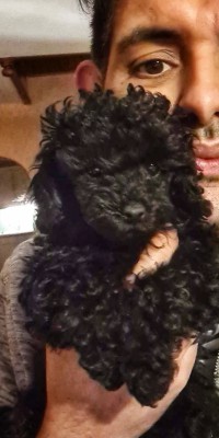 Ronja